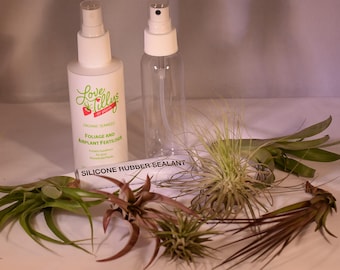 Tillandsia ACCESSORY KIT avec 6 AIRPLANT - contient 6 x usine d'air, 150ml d'engrais / engrais, bouteille de pulvérisation 100ml et colle fixative