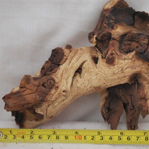 Könnte beinhalten: Ein Stück Treibholz in hellbrauner und dunkelbrauner Farbe. Das Holz hat eine raue, strukturierte Oberfläche mit Knoten und eine einzigartige Form. Ein gelbes Maßband liegt neben dem Holz und zeigt die Maße in Fuß und Zoll an.