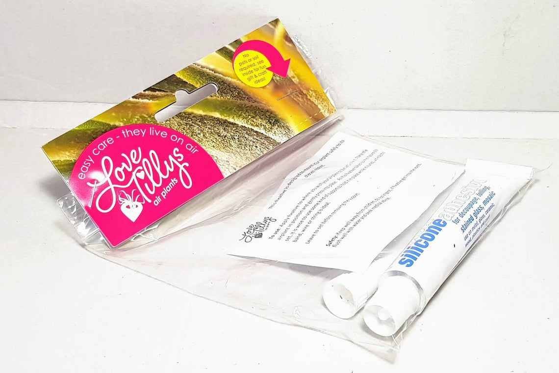 Air Plant Adhesive | Plant Friendly Glue |  Attach Live Air Plants to Wood, Rocks, Reindeer Moss, Craft work, Floral Decoration