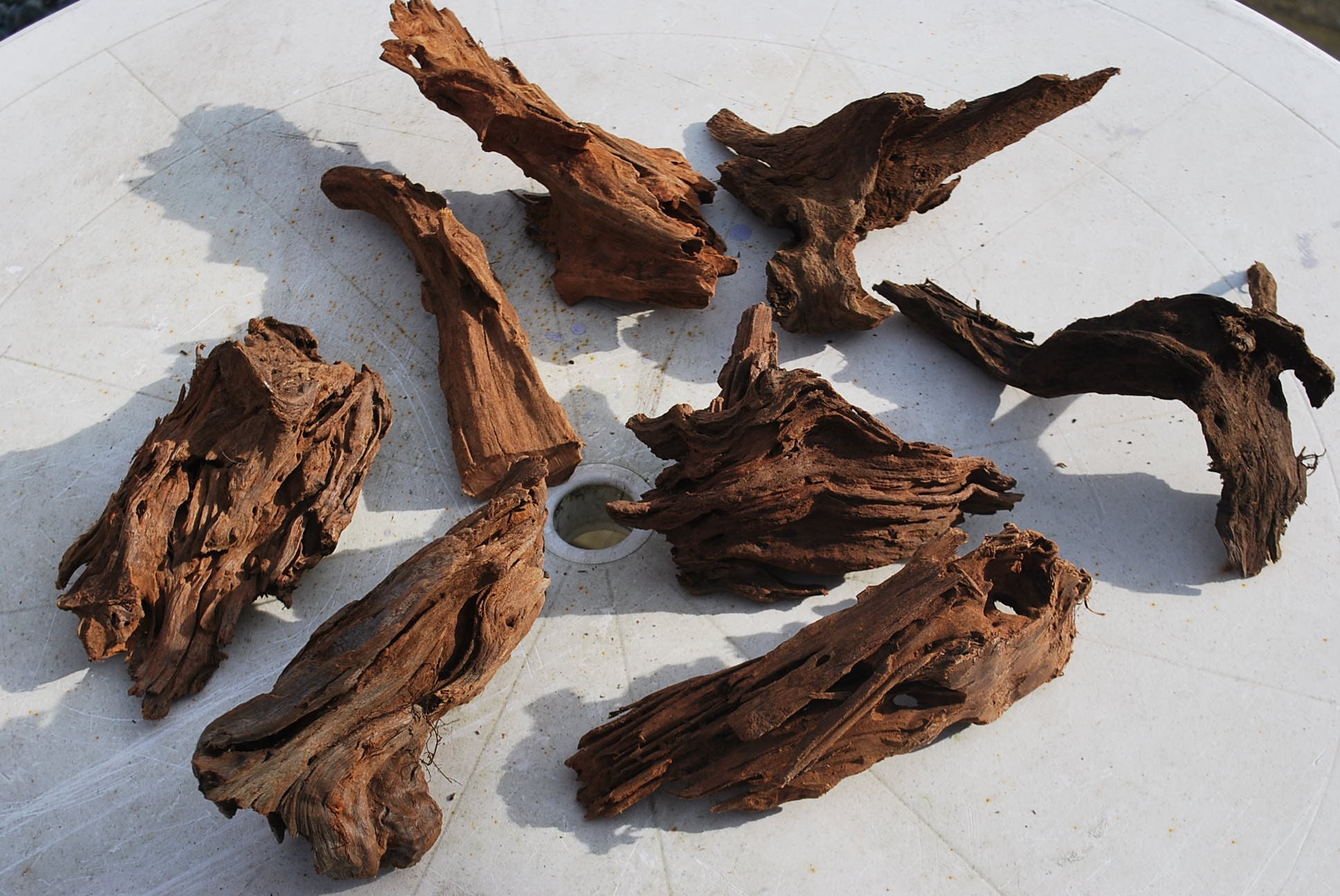 1 X Aquarium Bogwood 2030cm Root for Fish Tank Cave for Etsy Australia