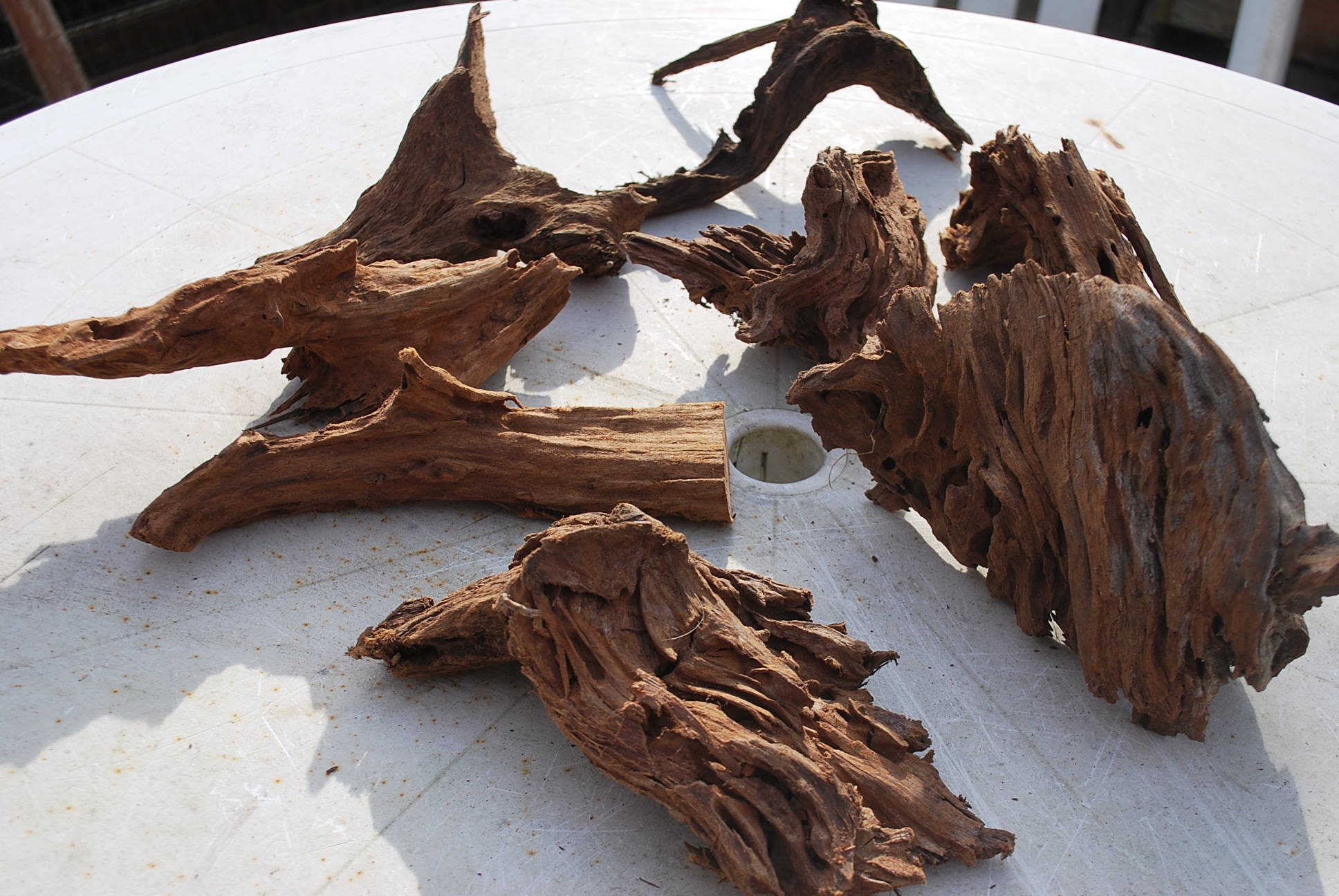 1 X Aquarium Bogwood 2030cm Root for Fish Tank Cave for Etsy UK