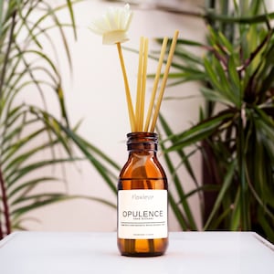 Rose and Plum Sustainable Reed Diffuser - Opulence. Elegant home fragrance gift, Fruity & Floral. Handmade. Eco friendly. Plastic Free