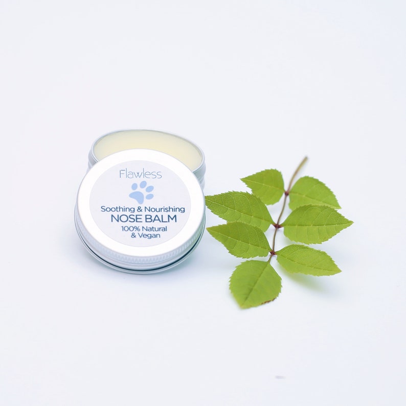 Pet Gift Soothing Nose Balm for Dogs. Personalised. Hydrating, Nourishing and Vegan. Zero Waste Dog Care, Cruelty Free image 2