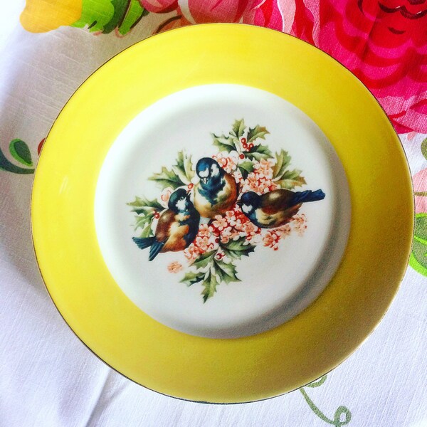 Gran par de placas amarillo vintage. Pájaros de la decoración. 1940 s. porcelana de Limoges. Carboneros. Flores. antiguo francés. Bohemia