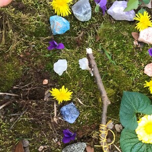 May include: A nature-inspired arrangement featuring yellow flowers, purple flowers, and various stones on a bed of green moss.