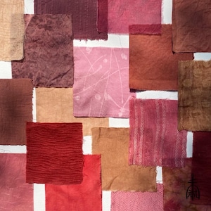 Può includere: Una composizione astratta di vari campioni di tessuto in tonalità di rosso, rosa e marrone. I tessuti presentano diverse trame e motivi, tra cui strisce, pois e una trama increspata. I campioni sono disposti su uno sfondo bianco.