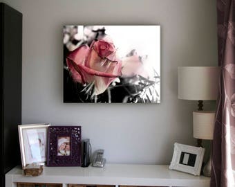Rose, Flower, Kitchen, Home, Home Decor, Rose Flower, Red Rose, Pink Rose, Orchid, Still Life, Valentine, Kitchen Decor, Rose Photography