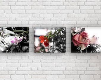 Orchid, Flower, Rose, Photography, Red, Orange, Pink, Purple, kitchen, Home Decor, Rose Flower, Still Life, Valentines, Pink Rose, Red Rose