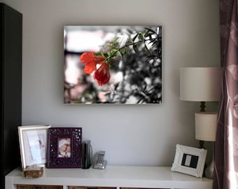 Orchid, Flower, Rose, Home Decor, Orange Flower, orange rose, orchid, still life, kitchen decor, flower photo, flower art, elegant