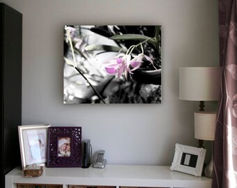 White Orchid, Purple Orchid, Flower, Purple Flower, White Flower, orchid, pink orchid, kitchen decor, flower photography, flower print