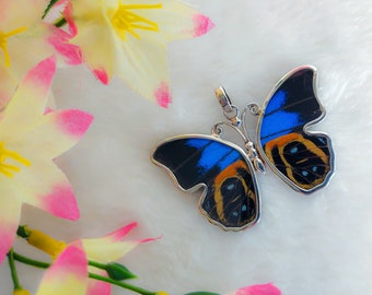 950 Silver Jewelry Set | Real Butterfly Wing Jewelry Set | Real Butterfly Pendant | Recycled Butterfly Wing Jewelry Set