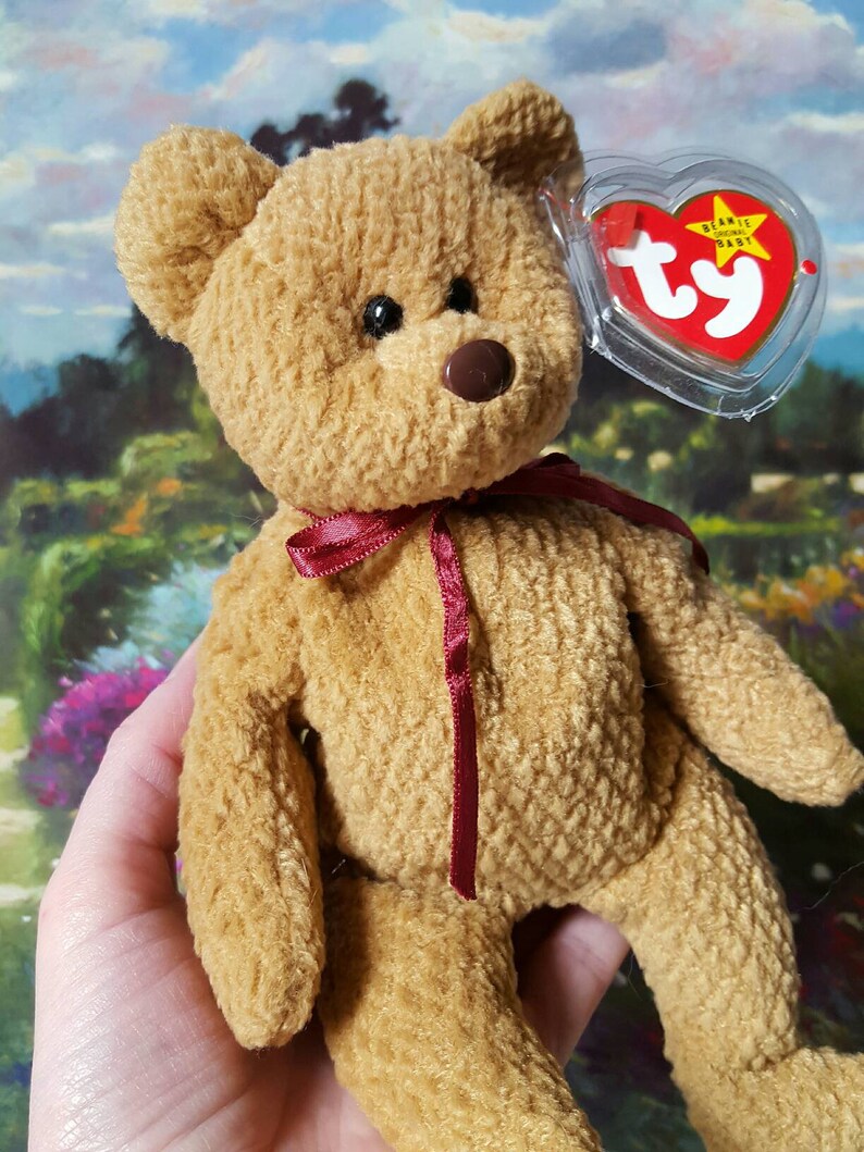 curly the bear ty