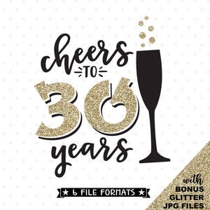 30e verjaardag SVG, Proost op 30 jaar SVG-bestand, 30-jarig jubileum SVG, Womens Birthday svg, Birthday Shirt iron on file, Thirty Years svg