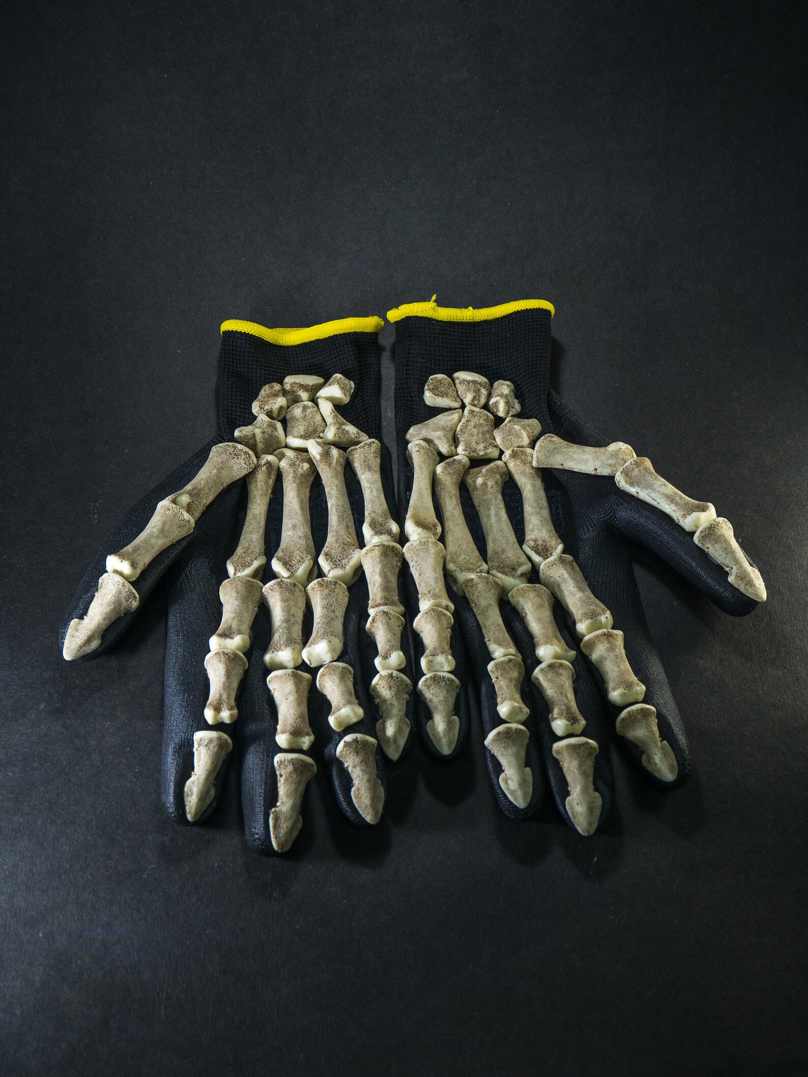 Bone gloves. Skeleton gloves. Skeleton arms. Carnival gloves. Etsy
