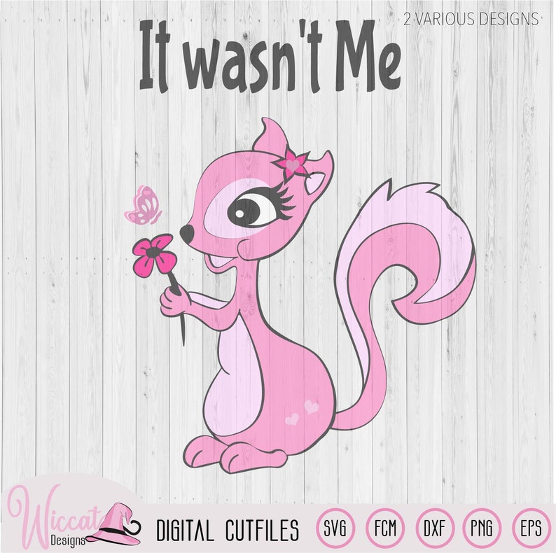 Download Kid Quote Vinyl Design Svg Cricut Woodland Animal Svg Plotter File Baby Girl Svg Pink Skunk Svg Scanncut Fcm File Girl Squirrel Svg Clip Art Art Collectibles Intellistall Com