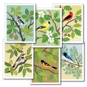 Cartes de notes des oiseaux de la Nouvelle-Angleterre, ensemble de six