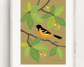 Oriole Fine Art Print