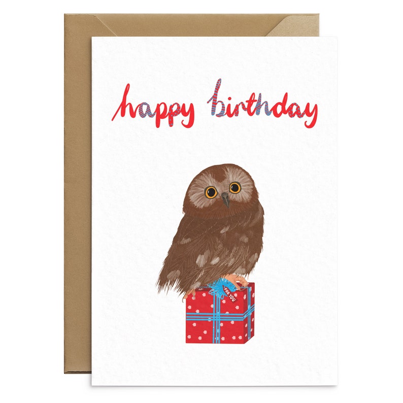 May include: A birthday card with a red and blue "happy birthday" greeting. A brown owl with yellow eyes sits on top of a red gift box with a blue ribbon and a "for you" tag.