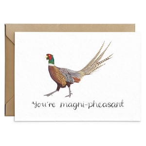 You're Magnificent - Funny Pheasant Card - Encouragement Card
