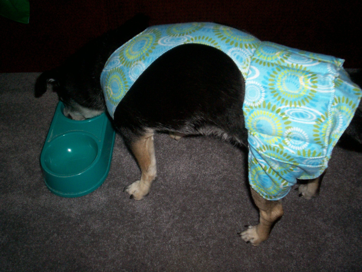 Pet Comfort Vest Small Etsy