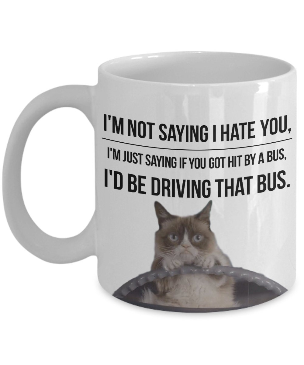 No Talk Me I'm Angry ,cute cat , angry cat , kitty' Panoramic Mug