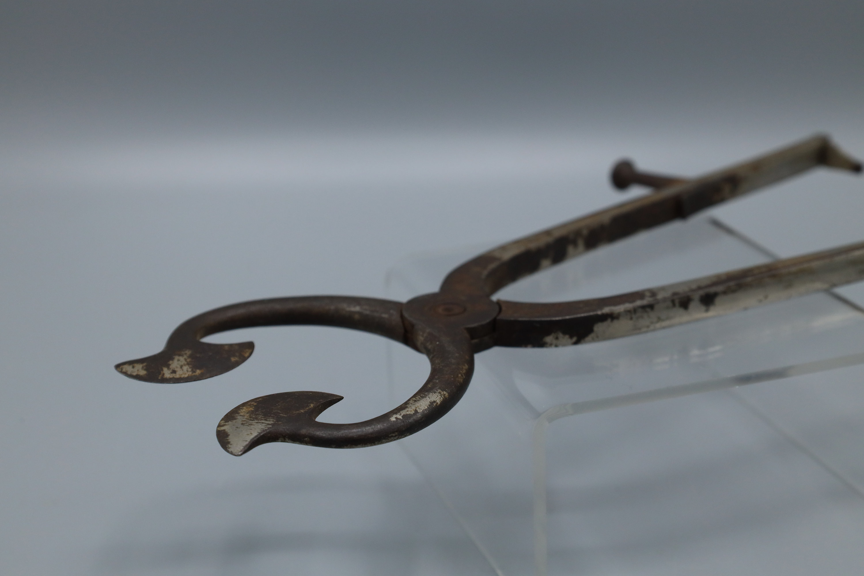 Antique Vintage Sugar Nippers Cutter Etsy