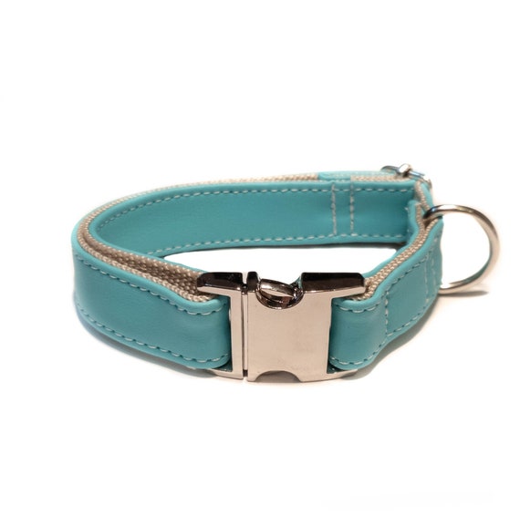 blue dog collar and lead