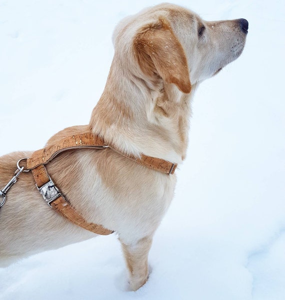 fully adjustable dog harness