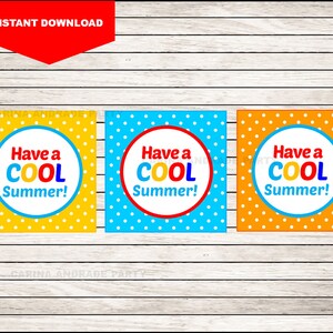 Printable End of School Cards , Have a Cool Summer  Funny Gift Tags , Printable Summer Gift Tag cards instant download