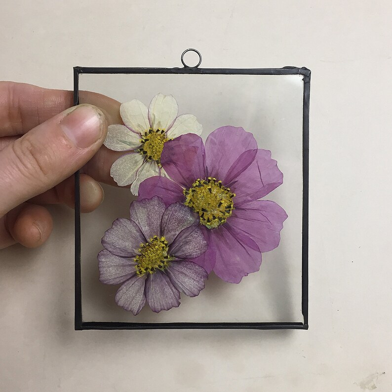 Pressed flowers in floating frame Stained glass panel Etsy