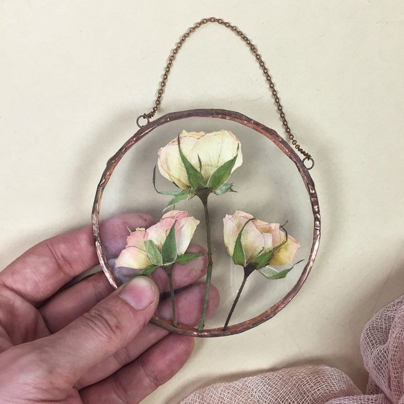 Pressed Roses in Floating Frame Pressed Flower Art Herbarium Etsy