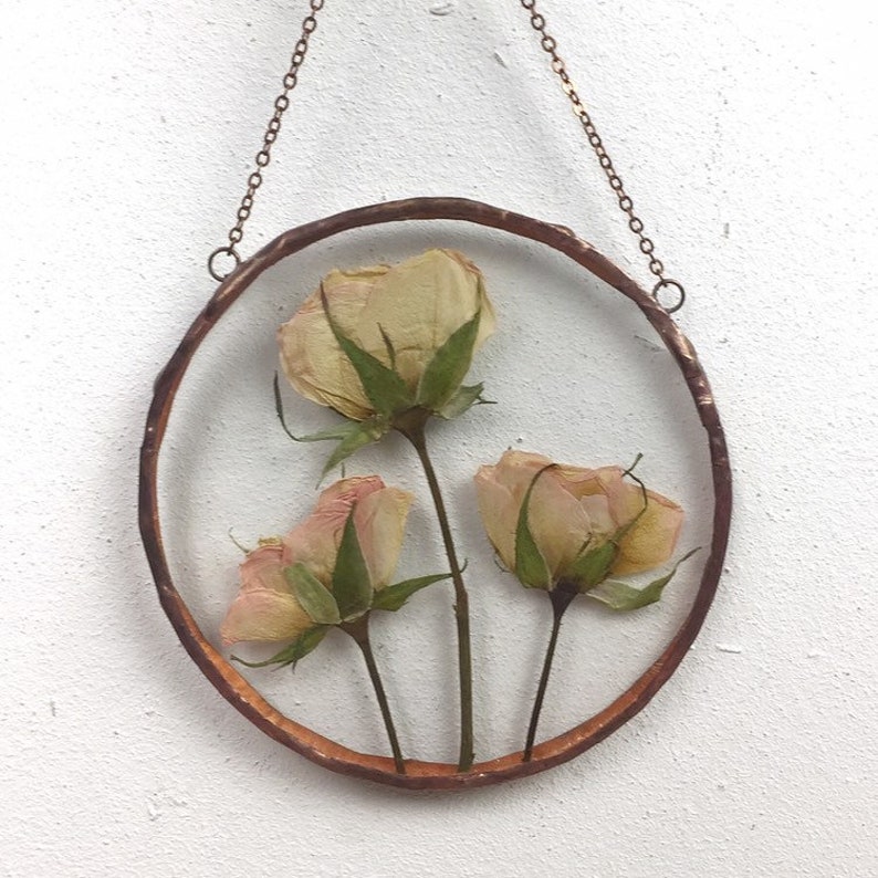 Pressed Roses in Floating Frame Pressed Flower Art Herbarium Etsy