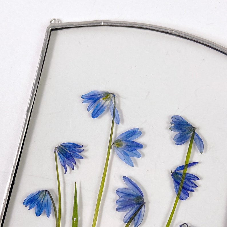 Pressed Flower Art Herbarium Frame Pressed Flower Frame Etsy