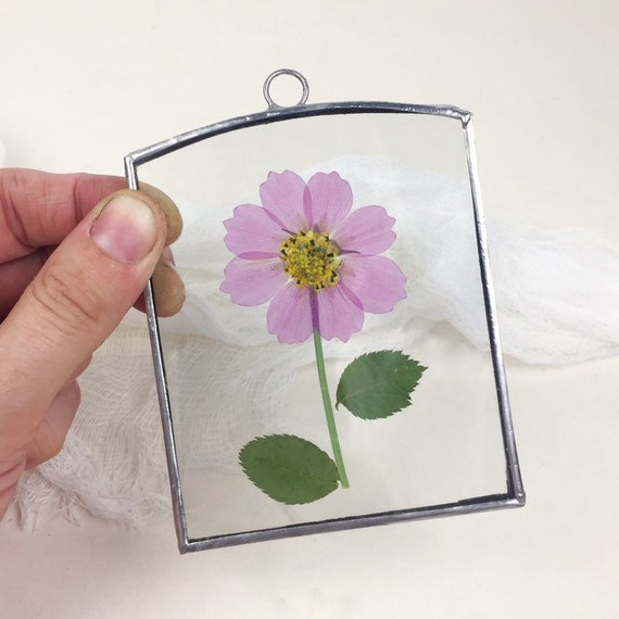 Pressed flower frame glass herbarium with real pressed | Etsy