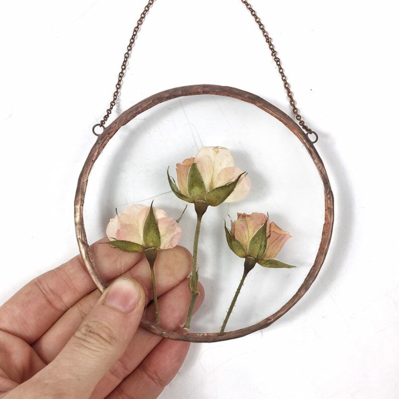 Pressed Roses in Floating Frame Pressed Flower Art Herbarium Etsy