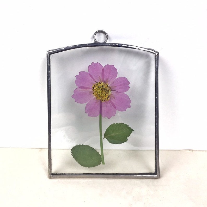 Pressed flower frame glass herbarium with real pressed | Etsy