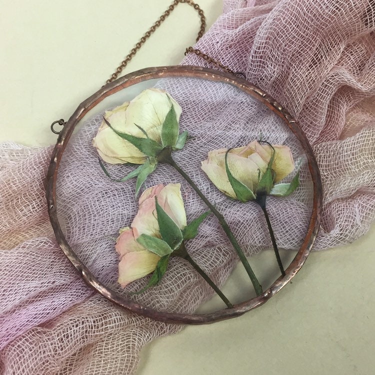 Pressed roses in floating frame Pressed flower art herbarium Etsy