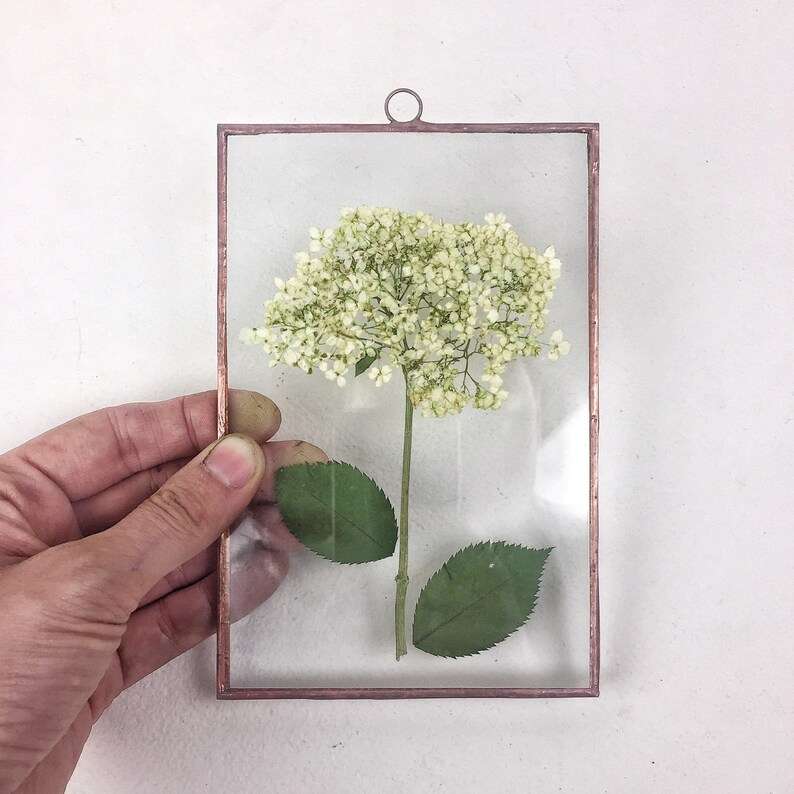 Pressed Flower Frame Herbarium Flower Arrangement Botanical Etsy