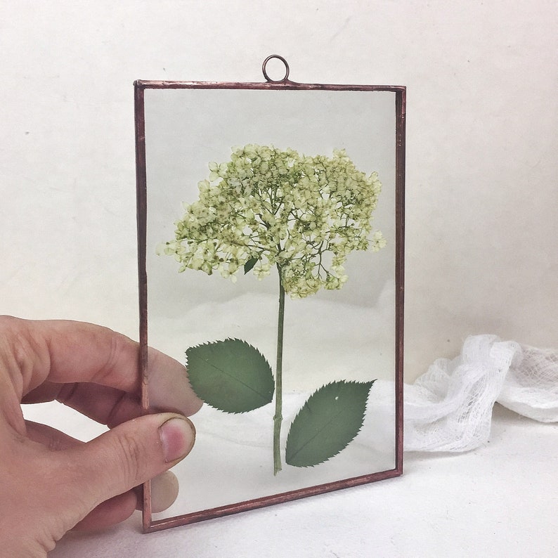 Pressed Flower Frame Herbarium Flower Arrangement Botanical Etsy