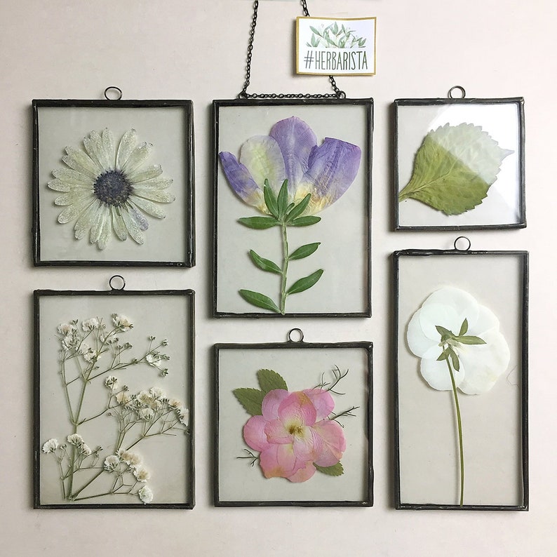 Mothers Day Gift Box Set Of Pressed Flower Frames Framed Image 0