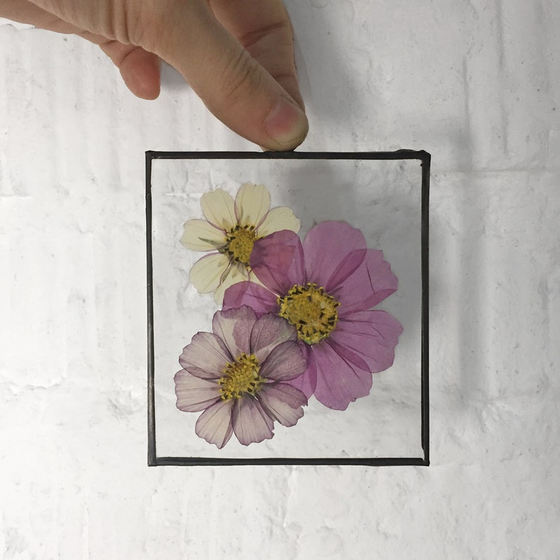 Pressed flowers in floating frame Stained glass panel Etsy