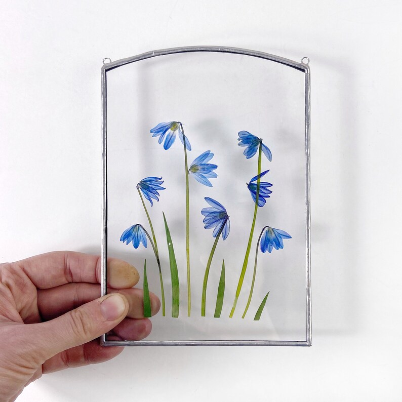 Pressed Flower Art Herbarium Frame Pressed Flower Frame Etsy