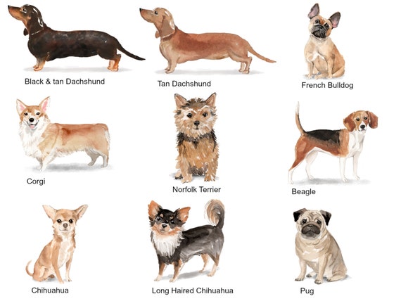 Download Custom Dog Breed Mug Design Your Own Mug Personalized Dog Etsy