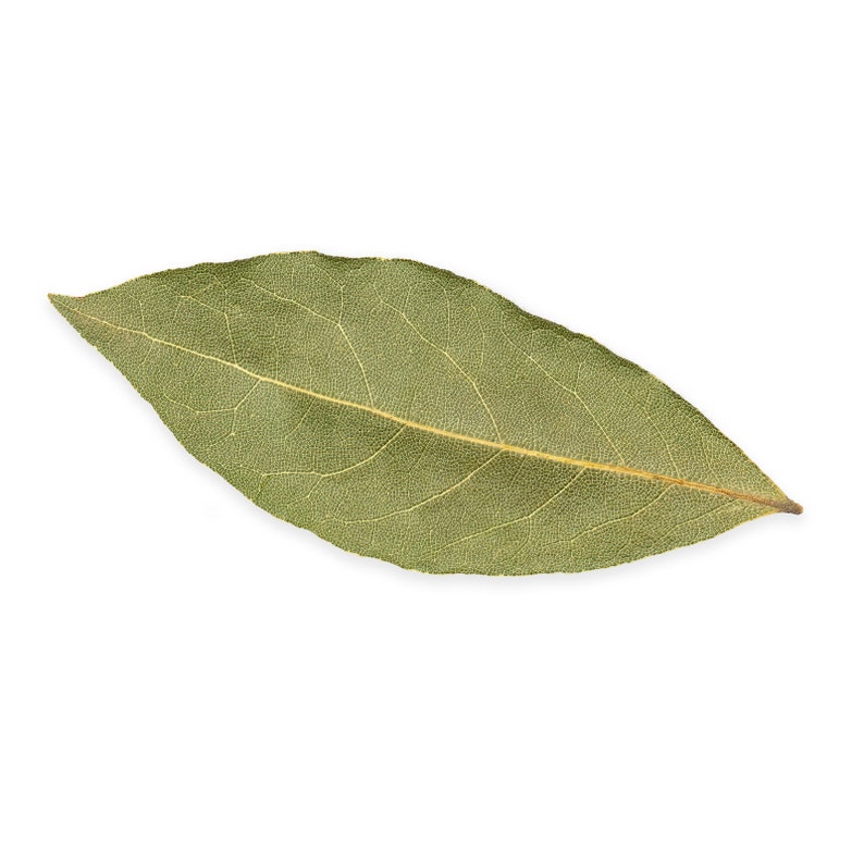 May include: A single, dried bay leaf with a green color and visible veins. The leaf is isolated on a white background.