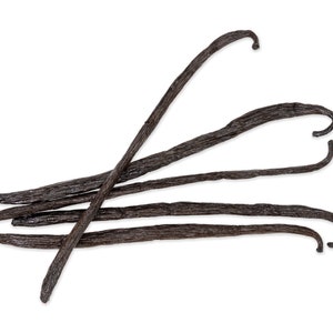 Madagascar Vanilla Beans Gourmet Grade A Vanilla Pods from Madagascar 5 ea Vanilla Bean