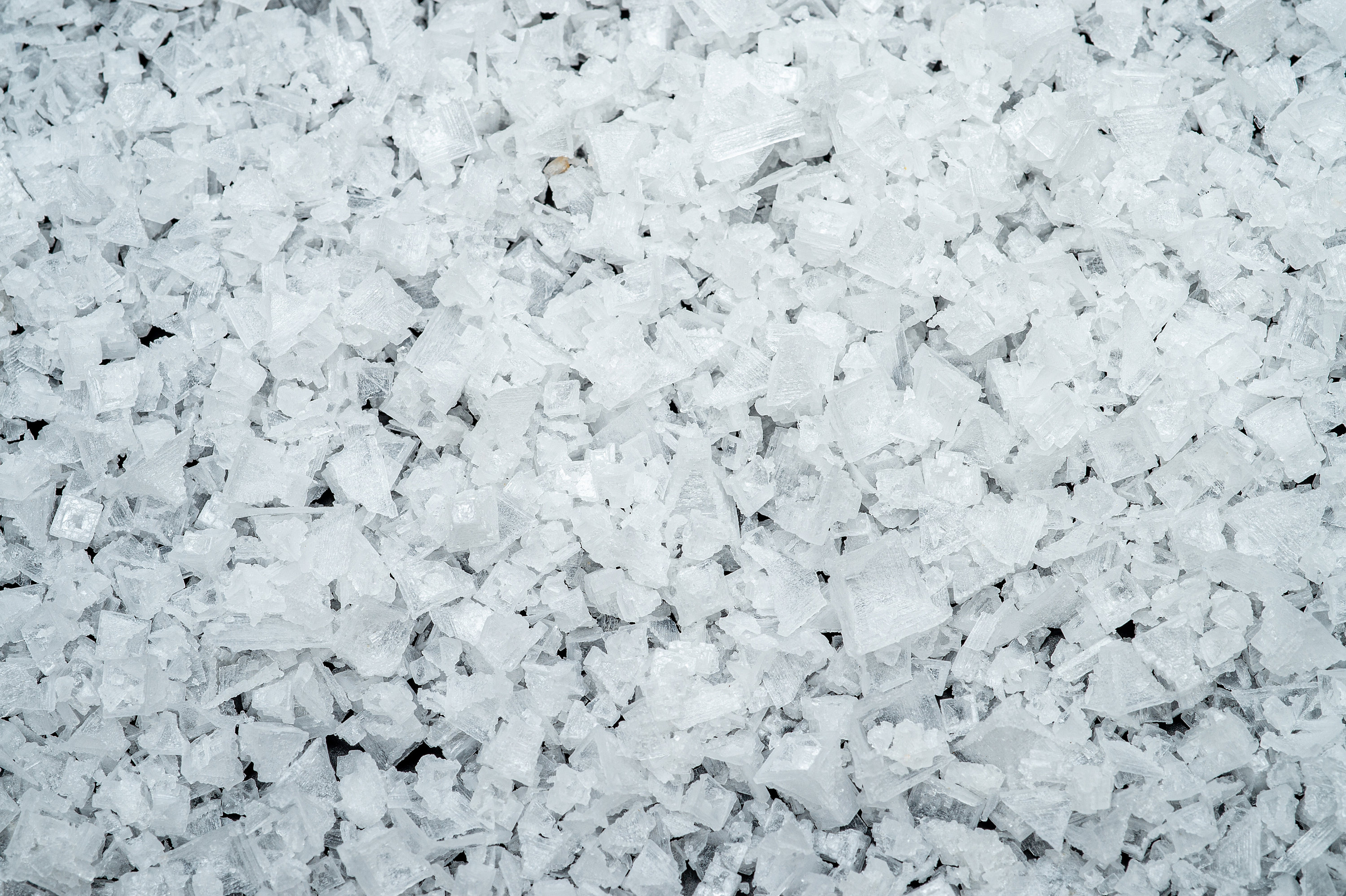 flake sea salt