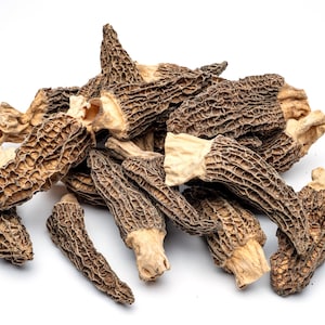 Dried Morel Mushrooms | Gourmet Morchella Conica