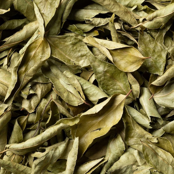 Dried Curry Leaves | Slofoodgroup Curry Leaf for Cooking