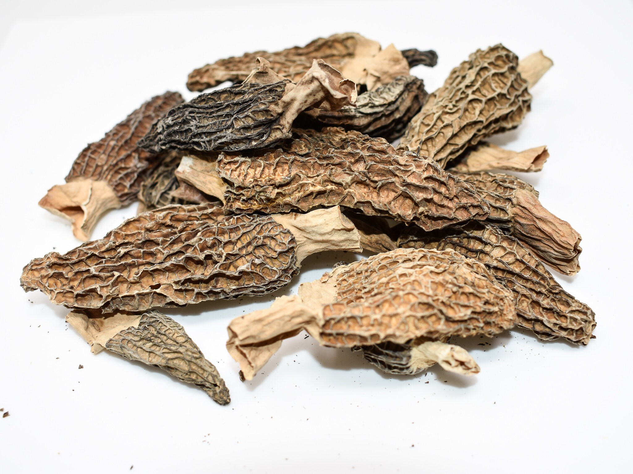 Dried Morel Mushrooms by Slofoodgroup Gourmet Morchella Etsy
