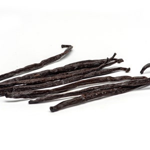 Madagascar Vanilla Beans Gourmet Grade A Vanilla Pods from Madagascar 10 ea Vanilla Bean